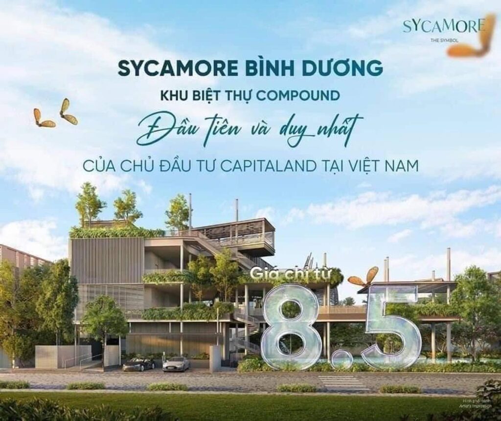 sycamore-binh-duong